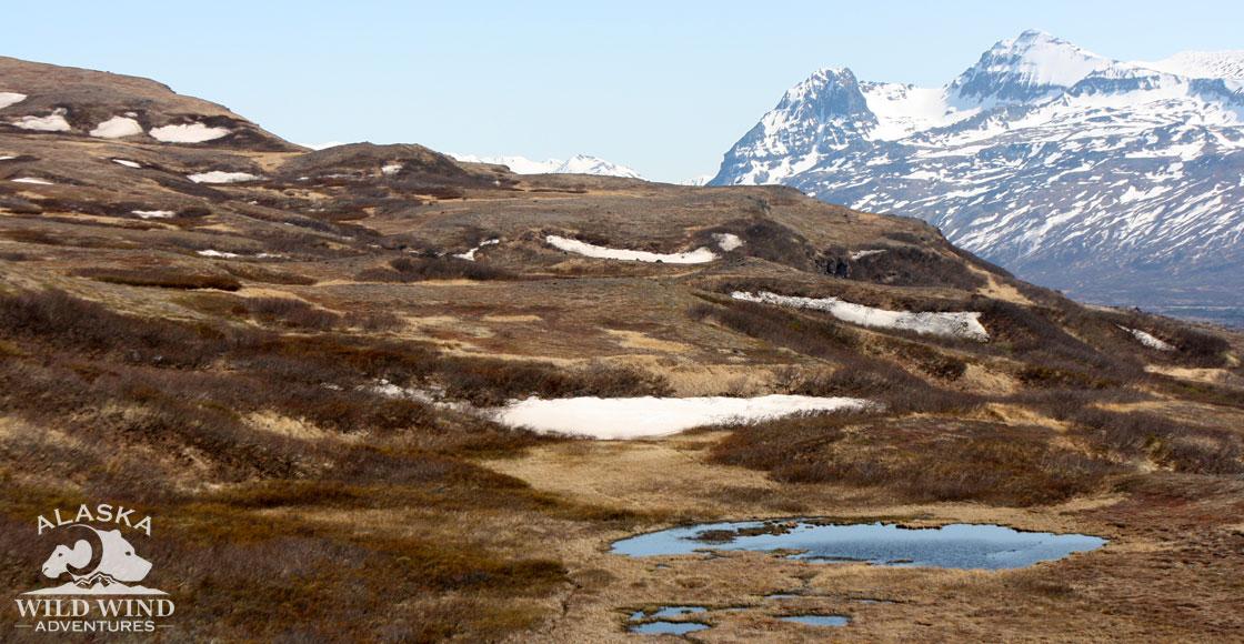 Exclusive Hunting Area with Alaska Wild Wind Adventures