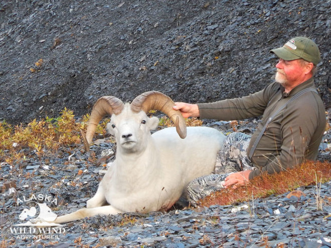 Andy Pitts, Dall Sheep Hunt, Fall 2015, Spring 2016