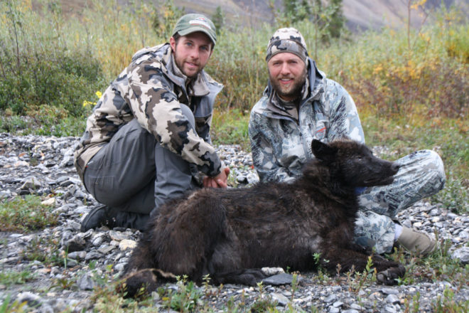Bill Crowley, Wolf Hunt, Fall 2012
