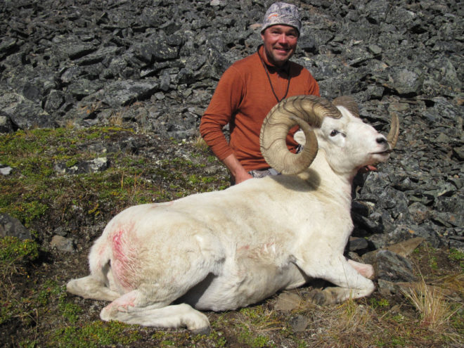 Dall Sheep Hunting Photos