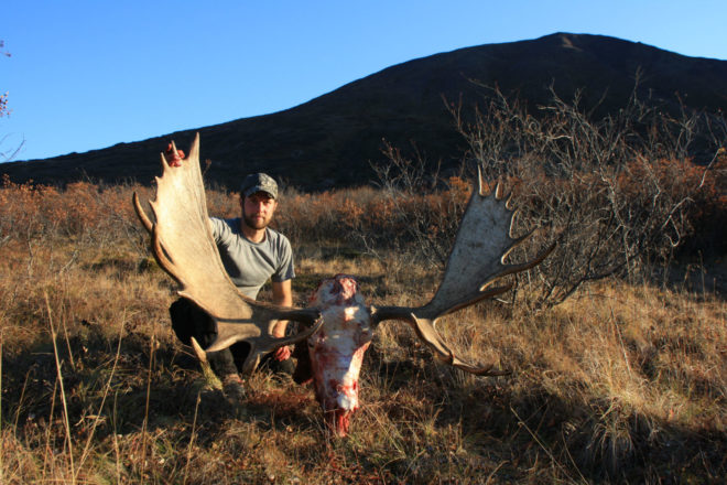 Moose Hunting Photos
