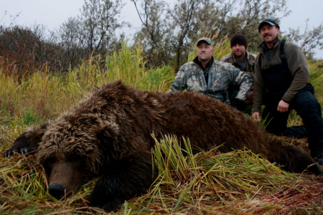 Brown Bear Hunting Photos