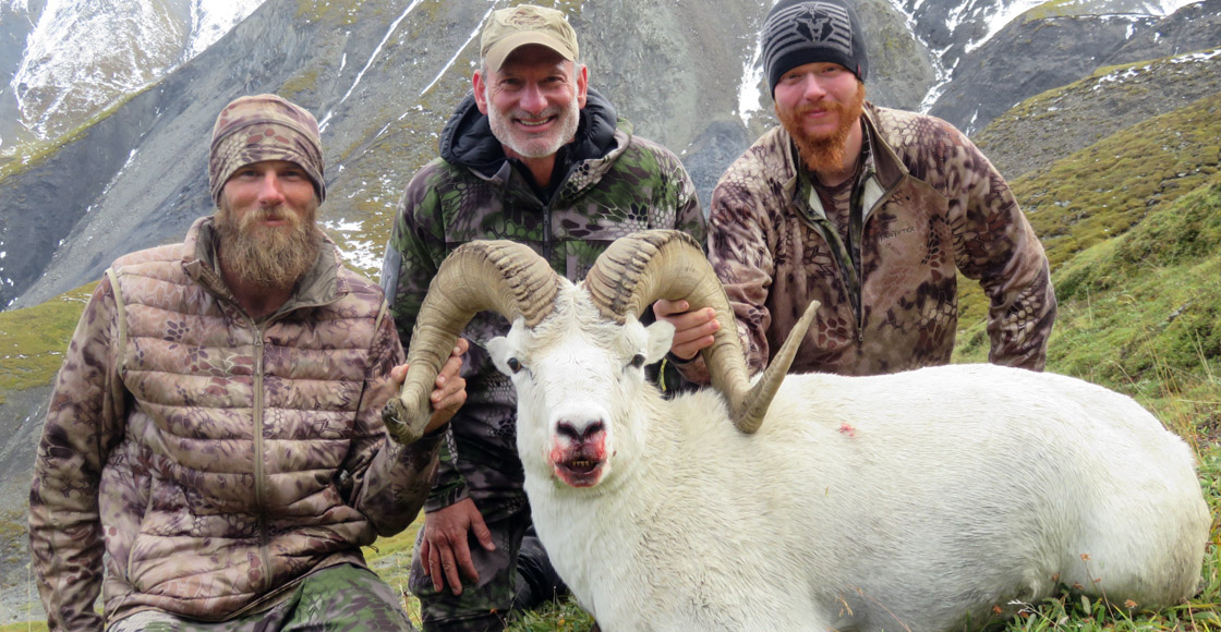 alaska dall sheep hunting guides