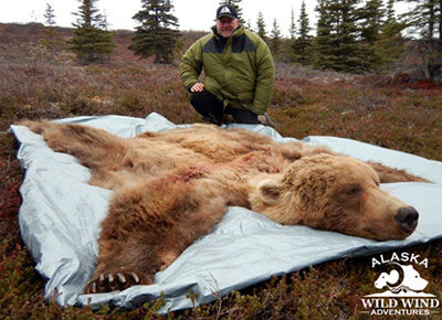 alaska grizzly bear hunting outfitters