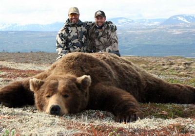 alaska spring grizzly bear black bear hunts