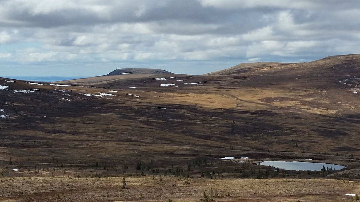 Spring 2016 - Sugarloaf Area of the Katmai Preserve