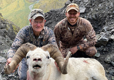 wrangells dall sheep hunting outfitters alaska
