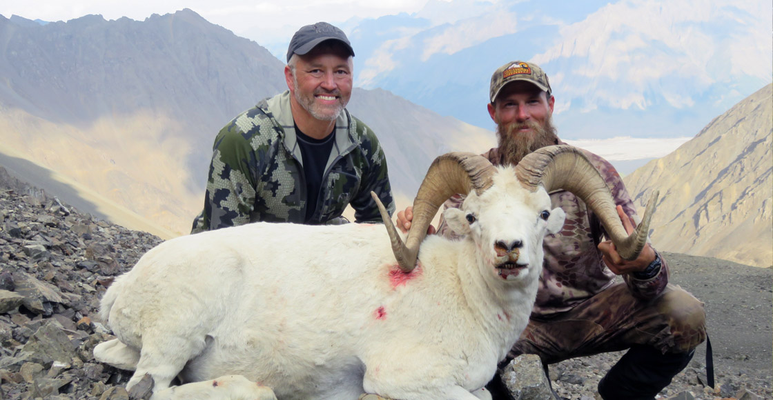 wrangells dall sheep hunts alaska outfitters